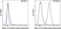 Invitrogen MHC Class I (H-2kb) Monoclonal Antibody (AF6-88.5.5.3), Super