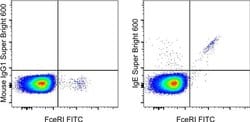 Invitrogen IgE Monoclonal Antibody (Ige21), Super Bright 600, eBioscience