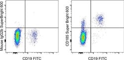 Invitrogen CD185 (CXCR5) Monoclonal Antibody (MU5UBEE), Super Bright 600,