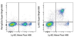 Invitrogen Ly-6G Monoclonal Antibody (1A8-Ly6g), Super Bright 600, eBioscience:Antibodies:Primary