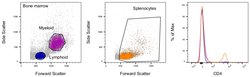 CD4 Monoclonal Antibody (RM4-5), Super Bright 600, eBioscience , Invitrogen:Antibodies:Primary