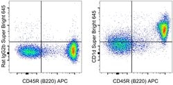 Invitrogen CD1d Monoclonal Antibody (1B1), Super Bright 645, eBioscience