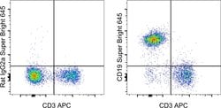 CD19 Monoclonal Antibody (eBio1D3 (1D3)), Super Bright 645, eBioscience