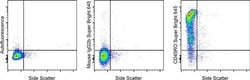 Invitrogen&trade;&nbsp;Mouse IgG2b kappa Isotype Control (eBMG2b), Super Bright&trade; 645, eBioscience&trade;