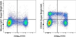 Invitrogen CD244 Monoclonal Antibody (eBioC1.7 (C1.7)), Super Bright 645,