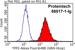 TPPII Mouse anti-Human, Clone: 5H6F11, Proteintech:Anticorps:Anticorps