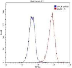 Bcl-XL Mouse anti-Human, Clone: 4C12A6, Proteintech 150 &mu;L; Unconjugated:Antikörper