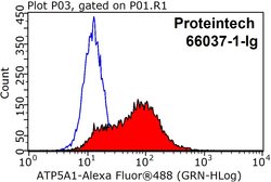 ATP5A1 Mouse anti-Human, Mouse, Non-human primate, Rat, Clone: 1B10H3,
