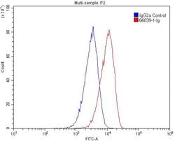 CPT1A Mouse anti-Human, Mouse, Rat, Clone: 5D8G9, Proteintech:Antibodies:Primary