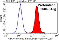 RBAP48 Mouse anti-Human, Clone: 5C4D6, Proteintech 150 &mu;L; Unconjugated:Antibodies,