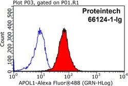 APOL1 Mouse anti-Human, Clone: 1G12D11, Proteintech:Antibodies:Primary