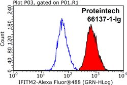 IFITM2 Mouse anti-Human, Clone: 3D5F7, Proteintech:Antibodies:Primary Antibodies