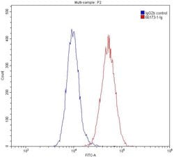 CNPY2/MSAP Mouse anti-Human, Mouse, Rat, Clone: 1G8G11, Proteintech:Antibodies:Primary