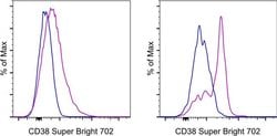 Invitrogen CD38 Monoclonal Antibody (HIT2), Super Bright 702, eBioscience:Antibodies:Primary