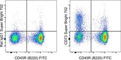 CD73 Monoclonal Antibody (eBioTY/11.8 (TY/11.8)), Super Bright 702, eBioscience