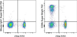 CD8b Monoclonal Antibody (SIDI8BEE), Super Bright&trade; 702, eBioscience&trade;, Invitrogen&trade;