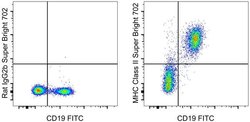 Invitrogen MHC Class II (I-A/I-E) Monoclonal Antibody (M5/114.15.2), Super