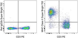 Invitrogen MHC Class II (I-A/I-E) Monoclonal Antibody (M5/114.15.2), Super