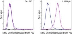 Invitrogen MHC Class I (H-2kb) Monoclonal Antibody (AF6-88.5.5.3), Super