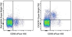 Invitrogen CX3CR1 Monoclonal Antibody (2A9-1), Super Bright 702, eBioscience