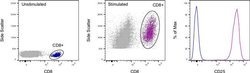 CD25 Monoclonal Antibody (PC61.5), eFluor 506, eBioscience , Invitrogen:Antibodies:Primary