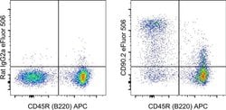 CD90.2 (Thy-1.2) Monoclonal Antibody (53-2.1), eFluor 506, eBioscience