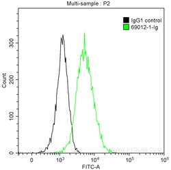 TGF beta 1 Mouse anti-Human, Clone: 1E3E9, ProteinTech 100 &mu;g; Unconjugated:Antibodies,