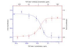 TGF beta 1 Mouse anti-Human, Clone: 1E3E9, ProteinTech 100 &mu;g; Unconjugated:Antibodies,