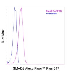 Invitrogen&trade;&nbsp;SMAD2 Recombinant Rabbit Monoclonal Antibody (31H15L4), Alexa Fluor&trade; Plus 647