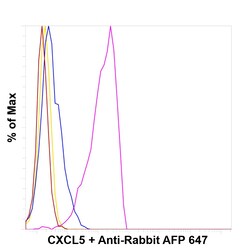 Invitrogen CXCL5 Recombinant Rabbit Monoclonal Antibody (9H45L5) 100 &mu;g;