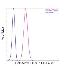 Invitrogen LC3B Recombinant Rabbit Monoclonal Antibody (2H30L32), Alexa Fluor Plus 488 50 &mu;L | Buy Online | Invitrogen&trade; | Fisher Scientific