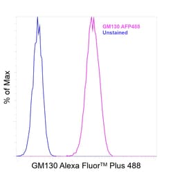 Invitrogen GM130 Recombinant Rabbit Monoclonal Antibody (10H5L5), Alexa Fluor Plus 488 50 &mu;L | Buy Online | Invitrogen&trade; | Fisher Scientific