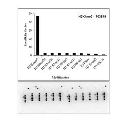 Invitrogen H3K4me3 Recombinant Rabbit Monoclonal Antibody (14H24L5) 100