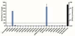 Invitrogen H3K9ac Recombinant Rabbit Monoclonal Antibody (24H25L21), ChIP-Verified:Antibodies:Primary