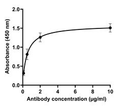 SARS-CoV-2 Spike Protein (RBD) Recombinant Human Monoclonal Antibody (T01KHu),