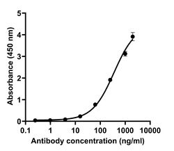 SARS-CoV-2 Spike Protein (RBD) Recombinant Human Monoclonal Antibody (T01KHu),