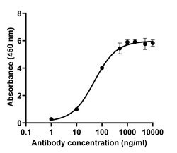 SARS-CoV-2 Spike Protein (RBD) Recombinant Human Monoclonal Antibody (T01KHu),
