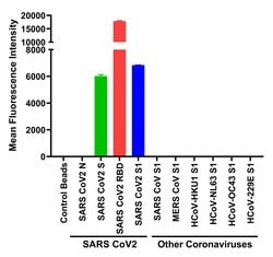 SARS-CoV-2 Spike Protein (RBD) Recombinant Human Monoclonal Antibody (T01KHu),