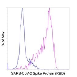 SARS-CoV-2 Spike Protein (RBD) Recombinant Human Monoclonal Antibody (T01KHu),