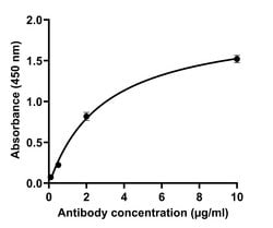 Invitrogen SARS-CoV-2 Spike Protein (RBD) Recombinant Human Monoclonal