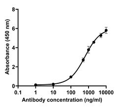 Invitrogen SARS-CoV-2 Spike Protein (RBD) Recombinant Human Monoclonal