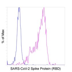 Invitrogen SARS-CoV-2 Spike Protein (RBD) Chimeric Recombinant Rabbit Monoclonal Antibody (P05DHuRb) 100 &mu;g | Buy Online | Invitrogen&trade; | Fisher Scientific