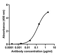 Invitrogen SARS-CoV-2 Spike Protein (RBD) Chimeric Recombinant Rabbit Monoclonal Antibody (P05DHuRb) 100 &mu;g | Buy Online | Invitrogen&trade; | Fisher Scientific