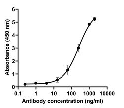 Invitrogen SARS-CoV-2 Spike Protein (RBD) Chimeric Recombinant Rabbit Monoclonal Antibody (P05DHuRb) 100 &mu;g | Buy Online | Invitrogen&trade; | Fisher Scientific