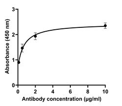Invitrogen SARS-CoV-2 Spike Protein (RBD) Recombinant Human Monoclonal