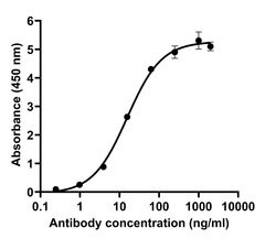 Invitrogen SARS-CoV-2 Spike Protein (RBD) Recombinant Human Monoclonal