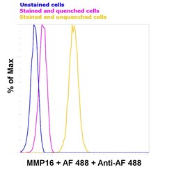 Invitrogen Alexa Fluor 488 Recombinant Rabbit Monoclonal Antibody (15H9L93)