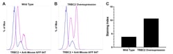 Invitrogen TRBC2 Chimeric Recombinant Mouse Monoclonal Antibody (SAM.2)