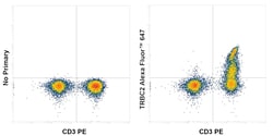 Invitrogen&trade;&nbsp;TRBC2 Chimeric Recombinant Mouse Monoclonal Antibody (SAM.2), Alexa Fluor&trade; 647