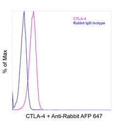 Invitrogen CTLA-4 Recombinant Rabbit Monoclonal Antibody (R3P1-E11) 100 &mu;L | Buy Online | Invitrogen&trade; | Fisher Scientific